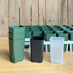 【口径5cm】多肉盆塑料拇指盆迷你特小号万象盆生石花控型透明盆