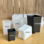 小白方多肉花盆扦插种植方口方形盆加厚控根透明花盆 8cm