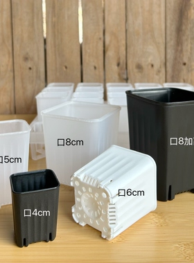 【4/6/8cm】小白方多肉花盆扦插种植方口方形盆加厚控根透明花盆