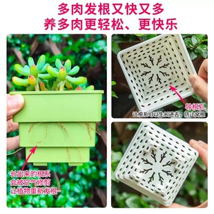爱美多肉专用花盆创意小白方组合树脂加厚控根透气塑料植物种植盆