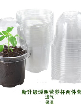 高透明育苗杯闷养杯带盖花盆保温保湿闷养盒多肉兰花播种扦插花盆