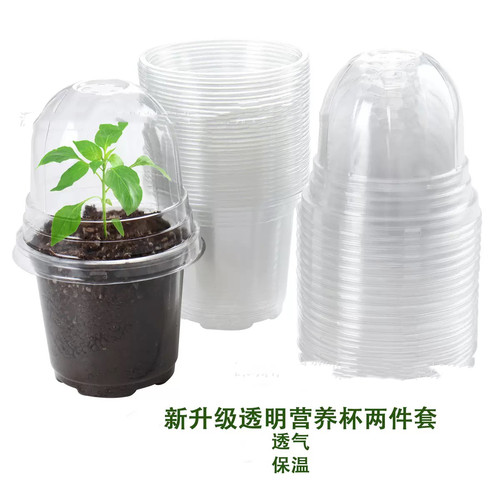 高透明育苗杯闷养杯带盖花盆保温保湿闷养盒多肉兰花播种扦插花盆