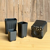 黑色多肉盆小黑方盆迷你特小肉肉加厚盆扦插育苗 8cm 口径5