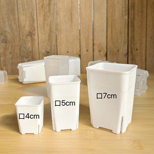 7cm 迷你多肉塑料方盆拇指控根肉锥生石花盆育苗播种盆 口4