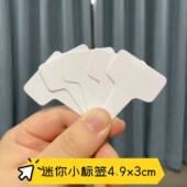 迷你多肉标签T型插牌小标注园艺植物花卉标签塑料防水标记标识牌