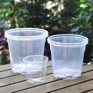 蝴蝶兰专用透明营养杯透明育苗钵营养钵多肉石斛兰花透明盆扦插盆