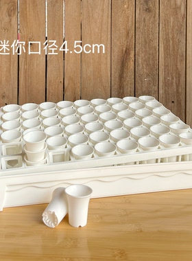 【口径4.5cm】迷你万象盆54格托架整理盘多肉特小生石花育苗播种