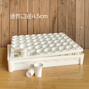 【口径4.5cm】迷你万象盆54格托架整理盘多肉特小生石花育苗播种
