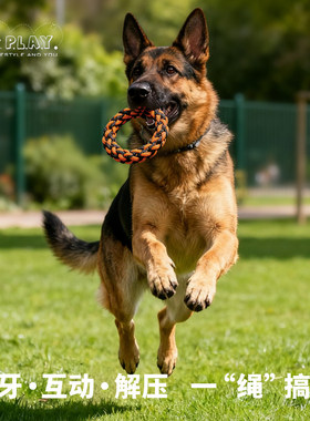 petplay狗狗绳结玩具中大犬耐撕咬拔河专用互动绳子磨牙训练巡回