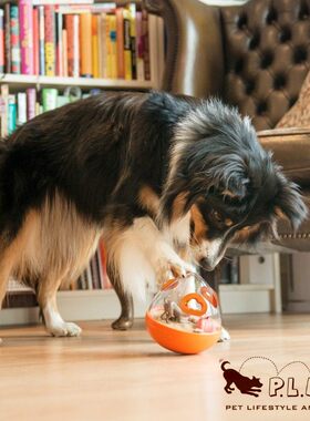 Petplay益智漏食球宠物狗狗玩具耐咬磨牙藏食慢食训练嗅闻自嗨器