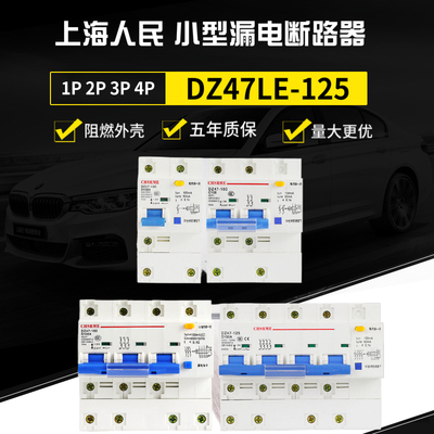 上海人民DZ47LE-125小型漏电断路器空气开关1P2P3P4P100A125A80A