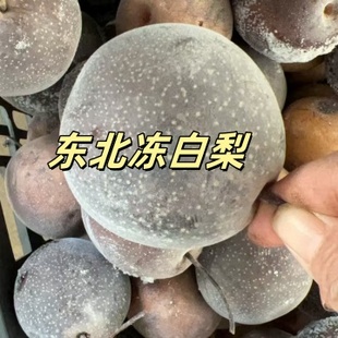 辽宁绥中特产大白梨冻梨大黑梨水果无渣多汁冻梨特产年货丰甜