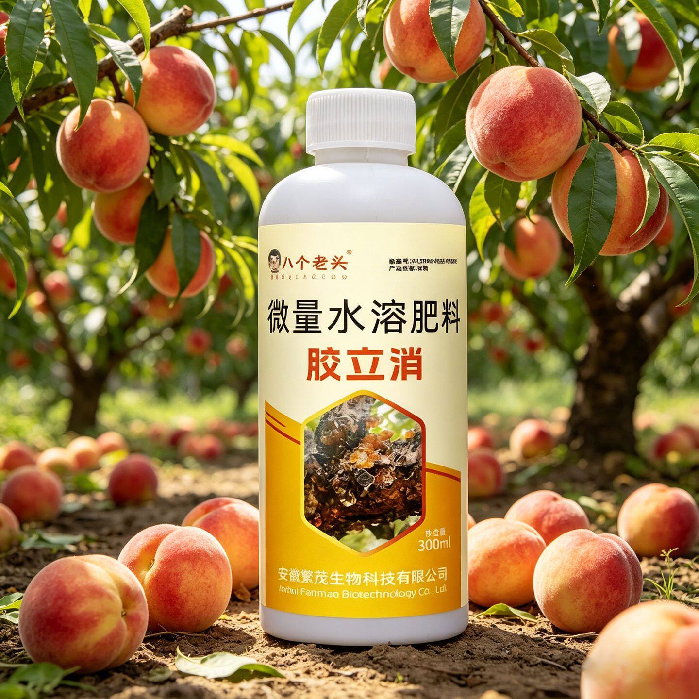 桃树流胶果树杏树李柚樱桃树流胶一喷净微量元素胶立消营养液