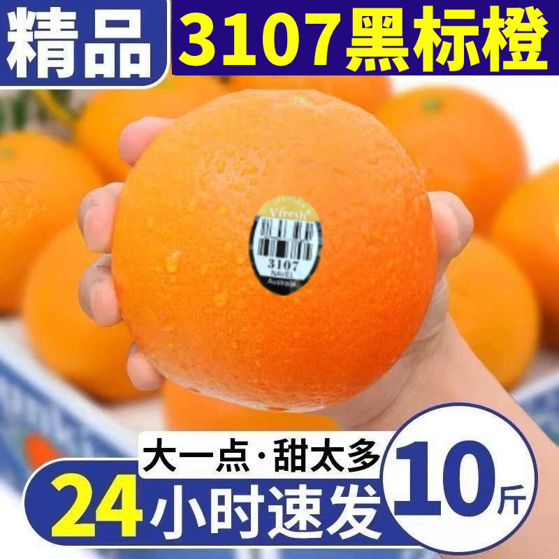 澳洲进口3107黑标橙新鲜脐橙甜手剥大果孕妇当季橙子水果非新奇士