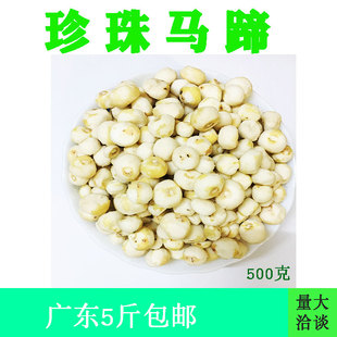 海陵岛直发现挖包邮新鲜蔬菜野生去皮珍珠小马蹄荸荠椰子鸡配料