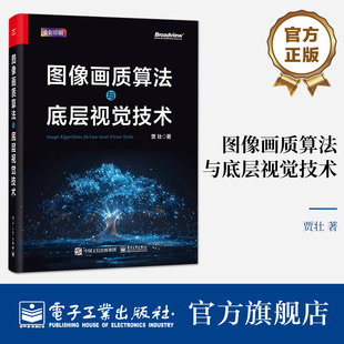 图像增强与图像修饰算法书籍 图像合成与图像和谐化 贾壮 著 社 官方旗舰店 电子工业出版 图像画质算法与底层视觉技术
