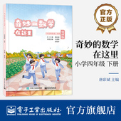 唐彩斌 数学在这里 自营旗舰店 下册 奇妙 小学四年级 同步小学数学课本配套选题 修订版 小学生阅读数学读物书籍
