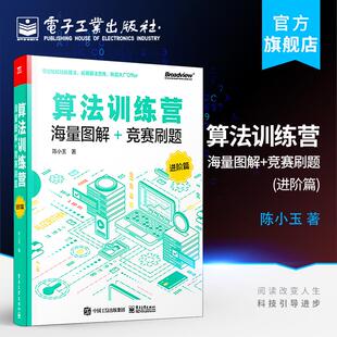 算法训练营 常用数据结构与算法数据结构动态规划算法规划优化技巧 海量图解 进阶篇 网络流算法书籍 竞赛刷题 官方旗舰店