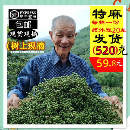 2026树上现摘新鲜生青花椒麻藤椒散装四川重庆做椒油可带叶520克