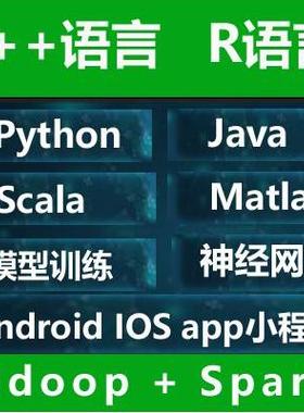 Python代做java代码编写C++大数据R语言Hadoop/spark/flink/C语言