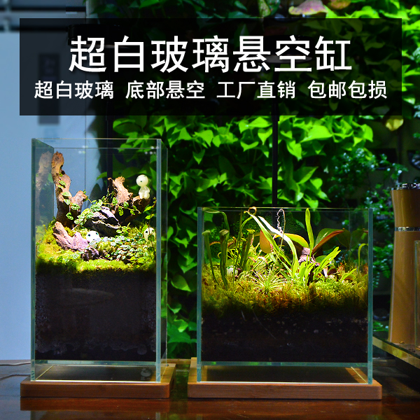 悬空缸桌面生态超白玻璃微景观缸