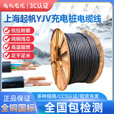 上海起帆阻燃充电桩专用线