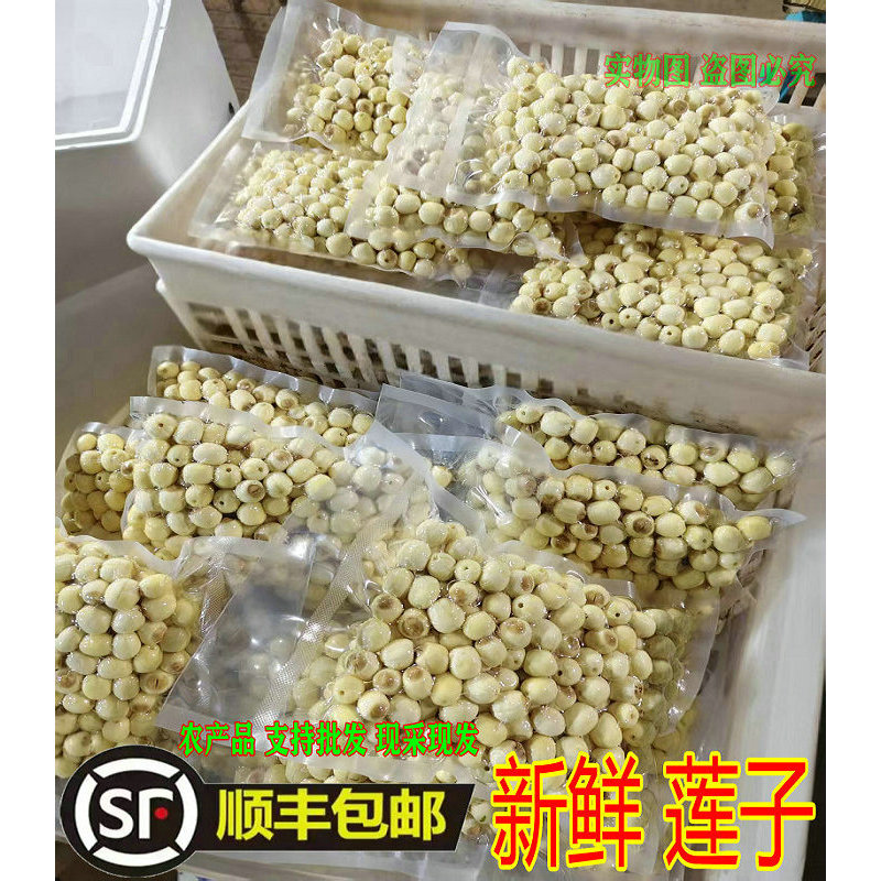 顺丰包邮新鲜莲子现摘现卖白连子