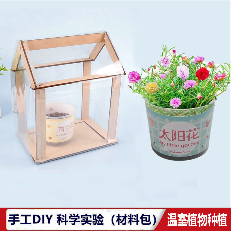 儿童学生幼儿园手工课堂植物种植盆栽小暖棚迷你温室种植科学实验