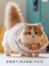 ПЭТ Элизабет