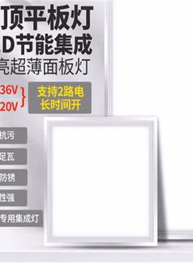 LED平板灯低压交直流12V24V36V付船用电瓶220V吊顶吸顶灯300X600