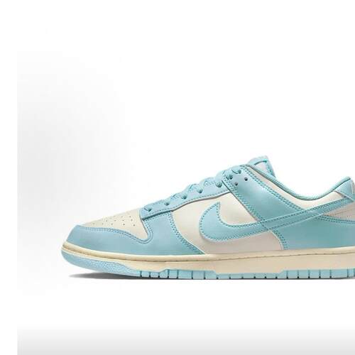 Nike Dunk LOW 柔软防滑耐磨 低帮 板鞋 男款 蓝色HF5441-103