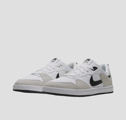Nike SB Alleyoop 滑板鞋 板鞋 抓地CJ0883-100