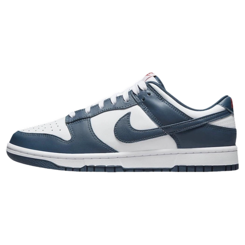 Nike Dunk Retro 