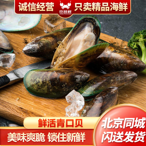 8-12只 500g 北京闪送 鲜活 新西兰 青口贝 水产 海鲜 翡翠 贻贝