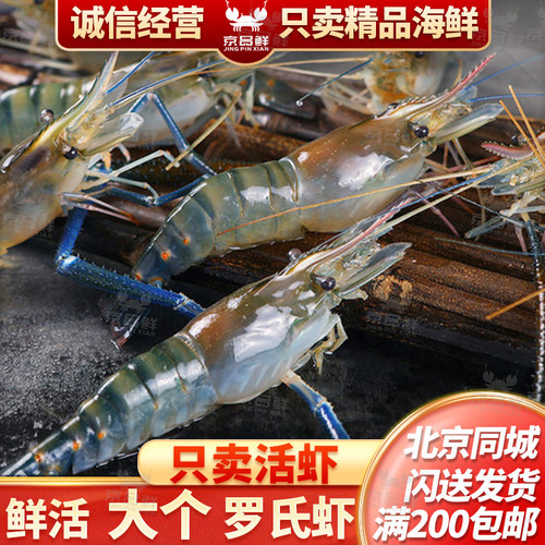 鲜活罗氏虾北京现货京深海鲜市场