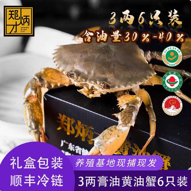 郑炳才正宗头手黄油蟹青蟹鲜活螃蟹包活包满油单只4-8两母蟹6只装