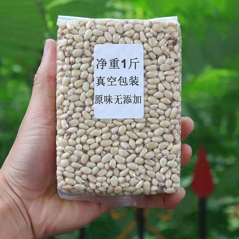 新货松子仁野生原味松仁粒生熟东北红松子肉500g干果零食净重