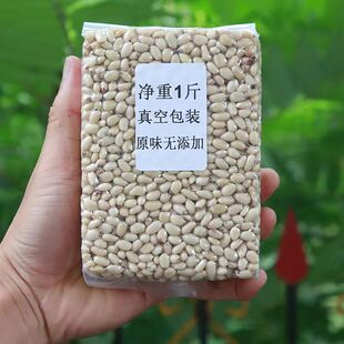 新货松子仁野生原味松仁粒生熟东北红松子肉500g干果零食净重