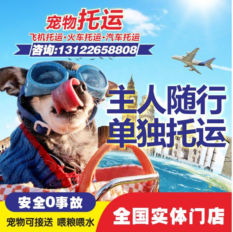 上海宠物托运服务全国杭州北京广州深圳空运猫狗专车国际运输快递