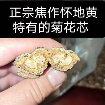生地黄焦作温县怀地黄中药材新鲜生地特级河南焦作生地熟地黄煲汤