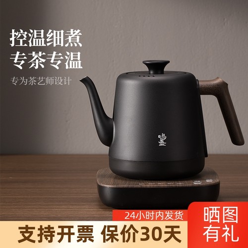 自动恒温泡茶专用烧水壶