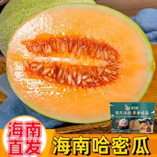 【礼盒】正宗海南哈密瓜小蜜25网纹西州蜜瓜新鲜水果孕妇应季整箱