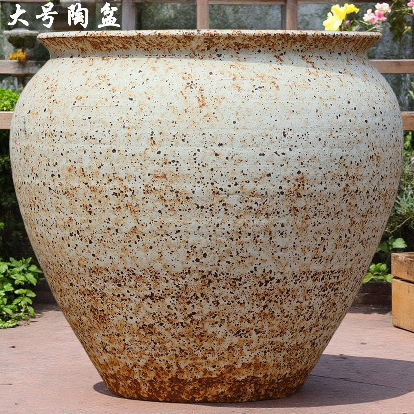 三角梅龟背竹花盆大号老桩复古白色盆粗陶罐简约绿植陶罐大口径盆