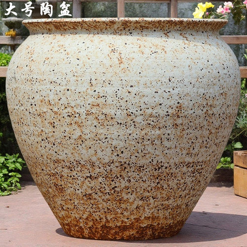 三角梅龟背竹花盆大号老桩复古