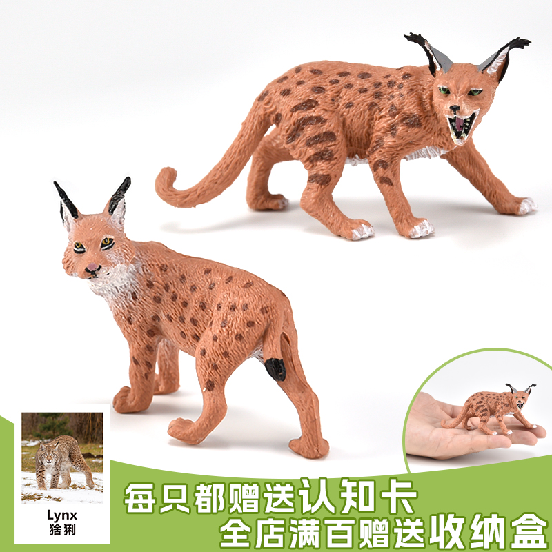 小猫实心工艺做工精细出口品质
