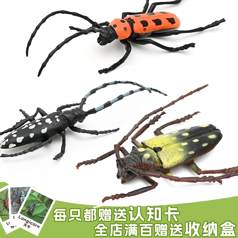 实心仿真昆虫天牛模型玩具摆件
