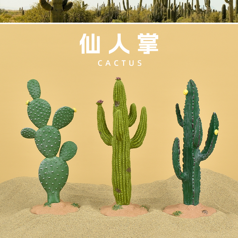 植物无异味不掉色出口品质造景