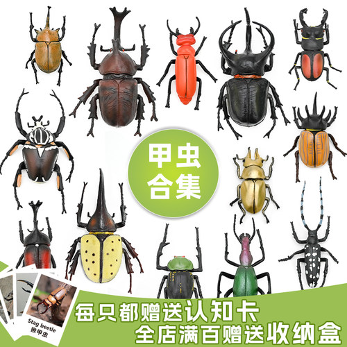 出口品质甲虫昆虫实心模型