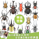 仿真甲虫模型玩具昆虫兜虫天牛锹甲锹形虫独角仙儿童认知礼物摆件