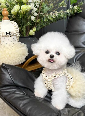 狗狗吊带猫咪网纱薄款蕾丝可爱公主裙宠物衣服透气夏季蓬蓬裙新款